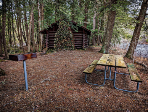 A rustic picnic area with a wooden table and grill, surrounded by tall trees and a log cabin in the background.